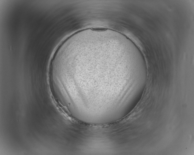 X0000072921104200608041143
