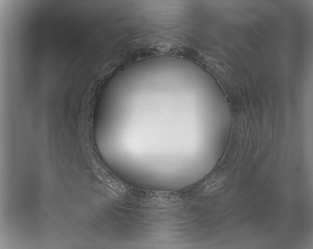 X0000072921105200608041143