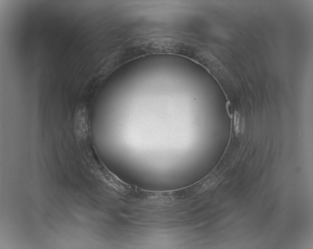 X0000072921107200608041143