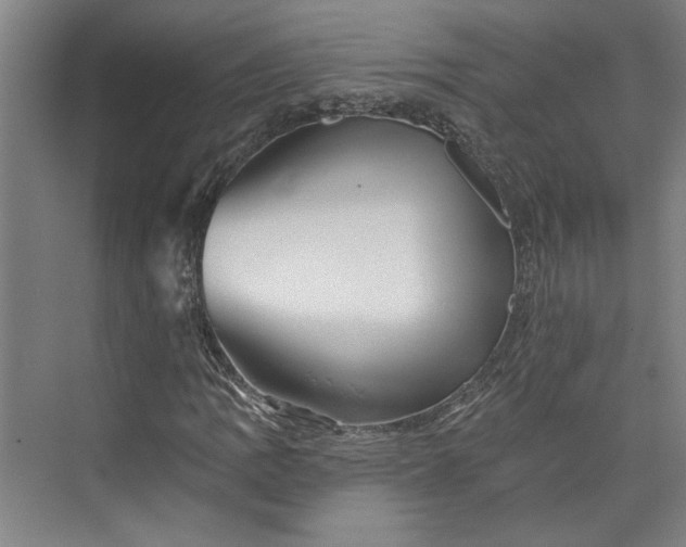 X0000072921109200608041143