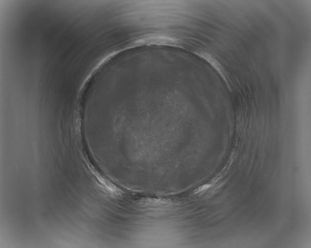 X0000072921115200608041143