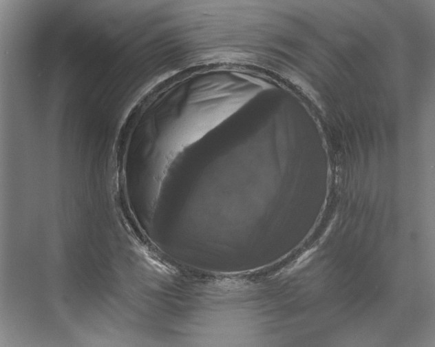 X0000072921117200608041143