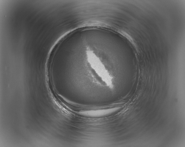 X0000072921120200608041143