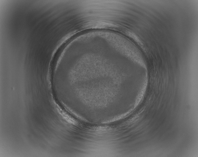 X0000072921122200608041143