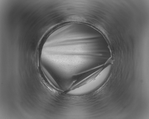 X0000072921123200608041143