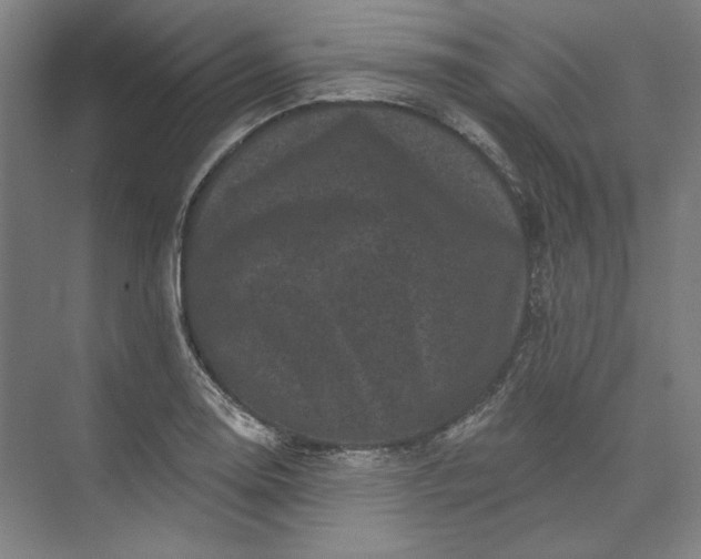 X0000072921130200608041143