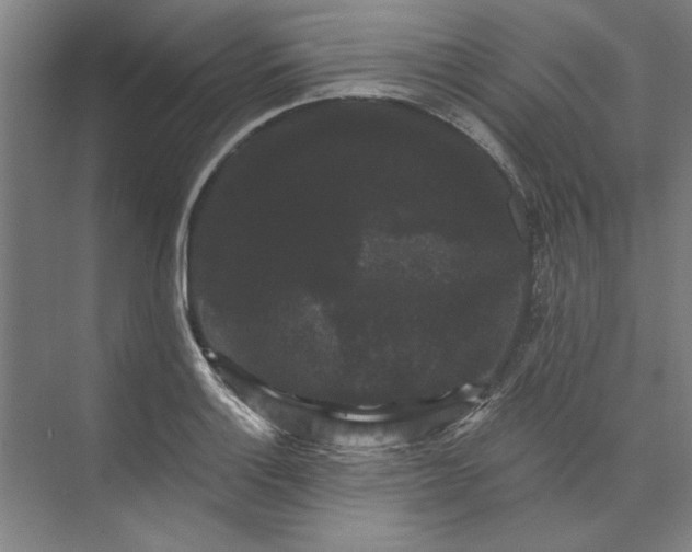 X0000072921132200608041143