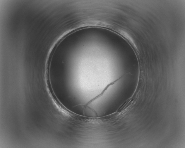 X0000072921136200608041143