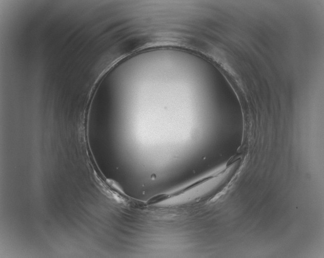 X0000072921137200608041143
