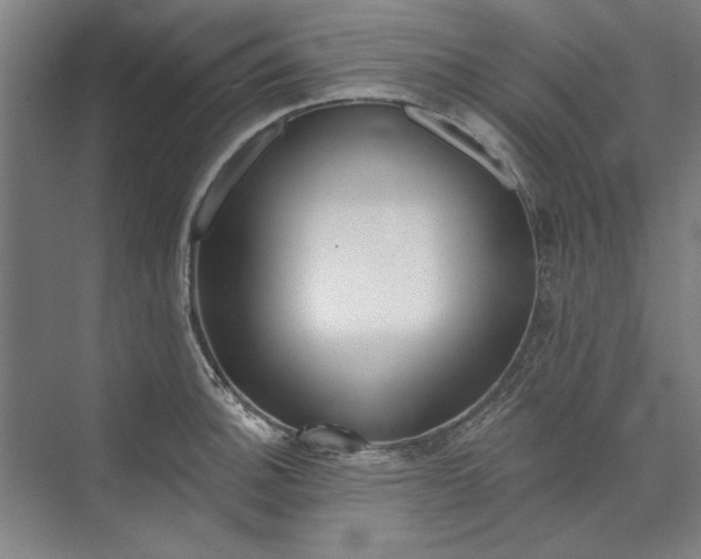 X0000072921140200608041143