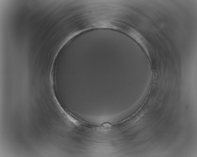 X0000072921141200608041143