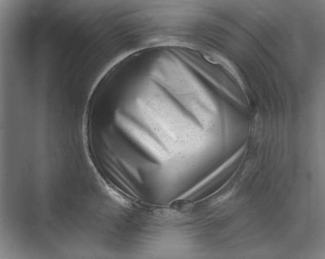 X0000072921149200608041143