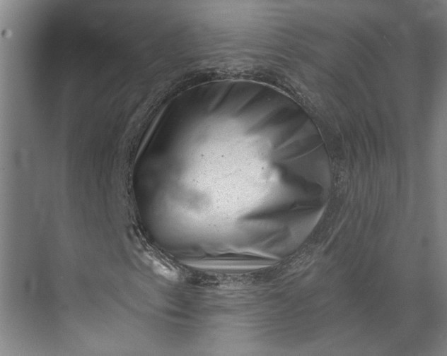 X0000072921153200608041143