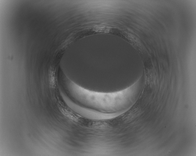 X0000072921154200608041143