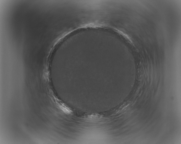 X0000072921160200608041142
