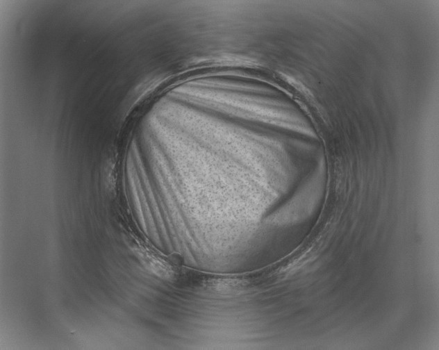 X0000072921163200608041142