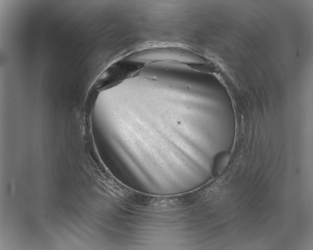 X0000072921165200608041142