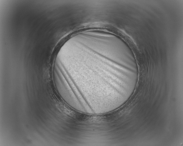 X0000072921166200608041142