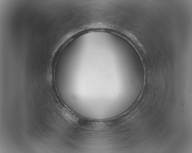 X0000072921167200608041142