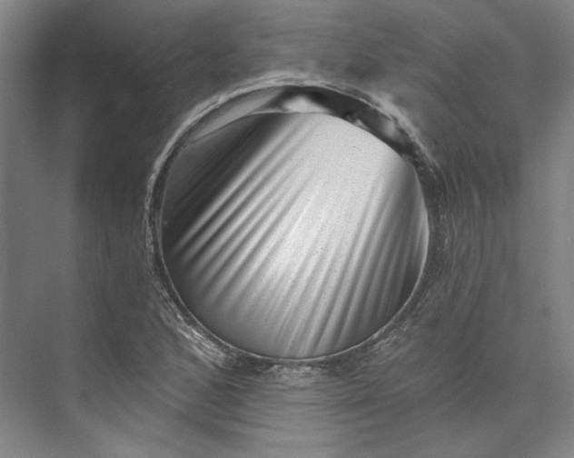 X0000072921168200608041142