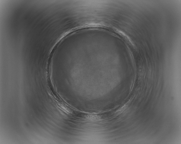 X0000072921170200608041142