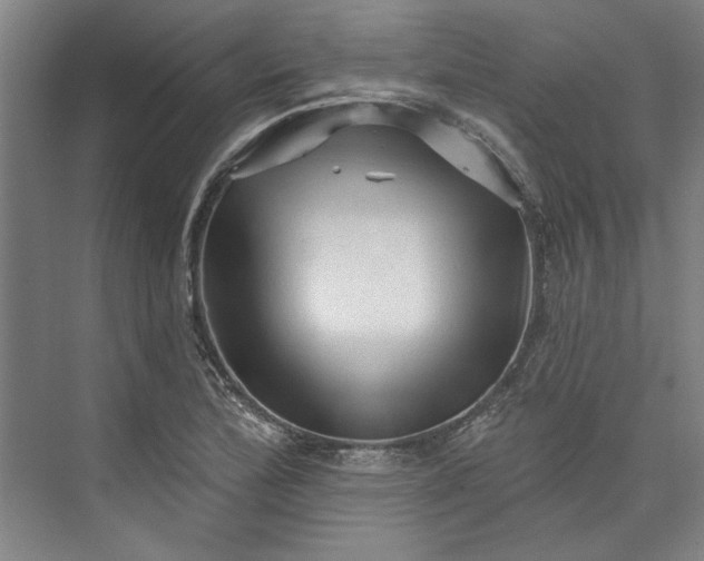 X0000072921172200608041142
