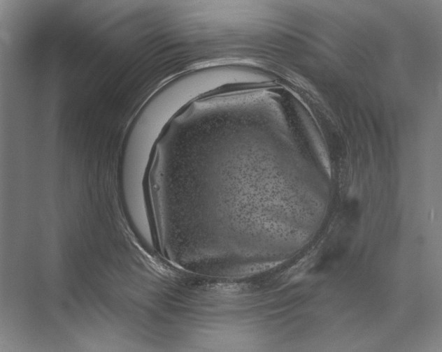 X0000072921177200608041142