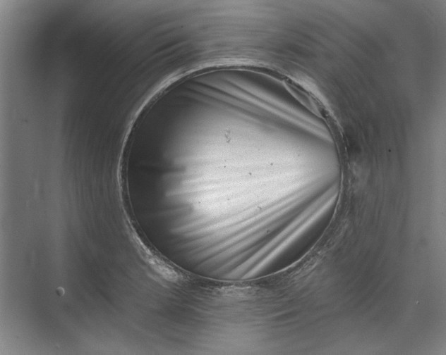 X0000072921181200608041142