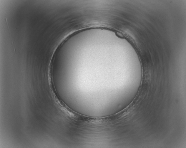 X0000072921182200608041142