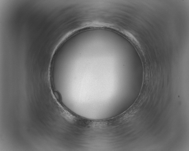 X0000072921183200608041142