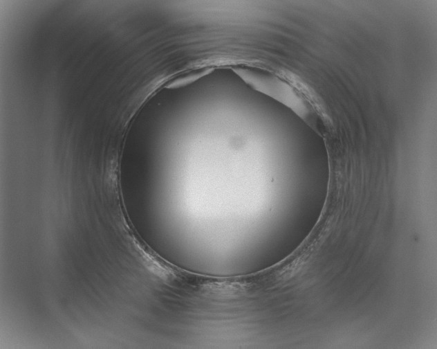 X0000072921185200608041142