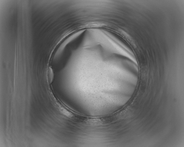 X0000072921186200608041142