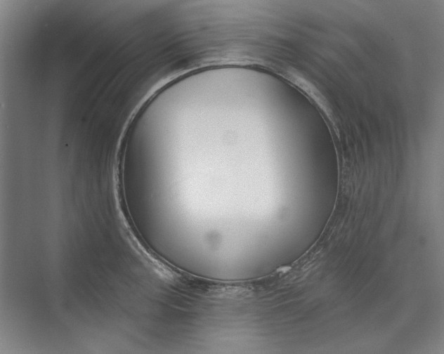 X0000072921187200608041142