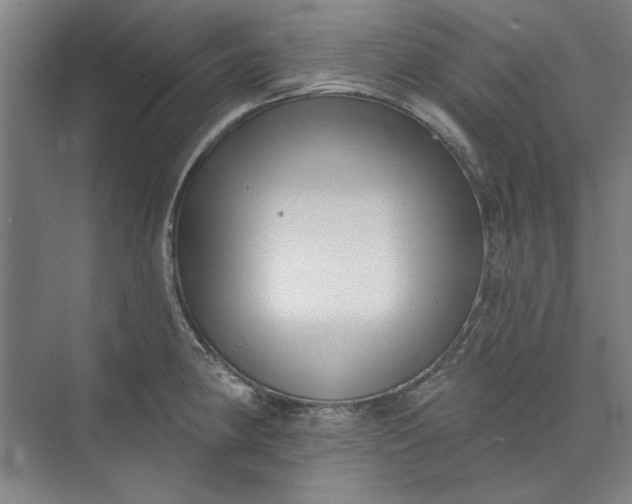 X0000072921190200608041142