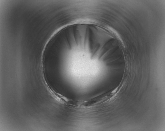 X0000072921192200608041142