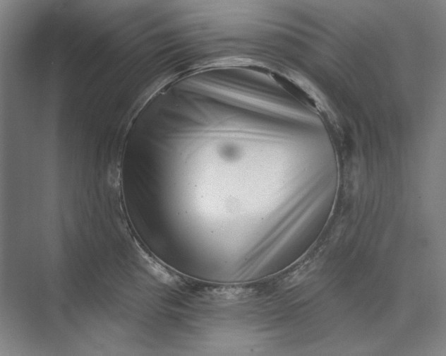 X0000072921193200608041142