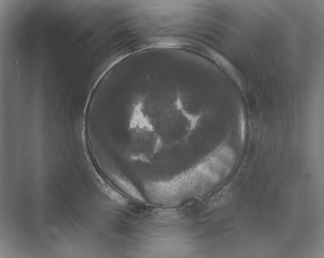 X0000072921194200608041142