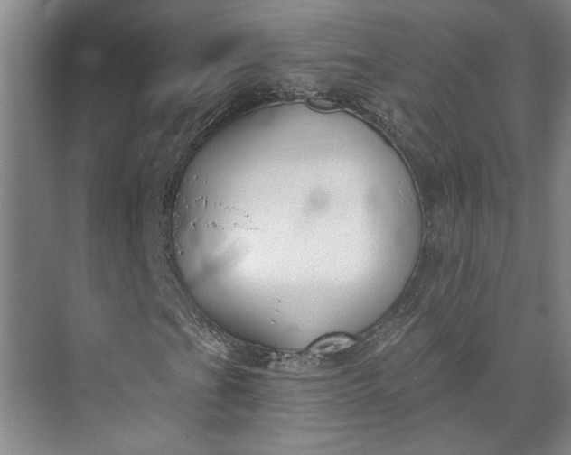 X0000072921201200608041141