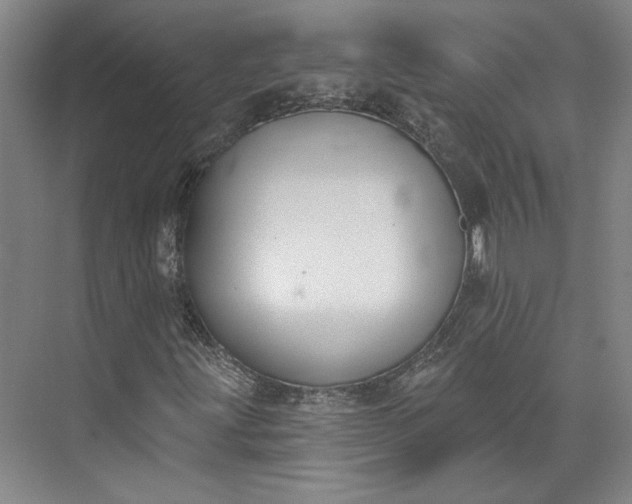 X0000072921203200608041141
