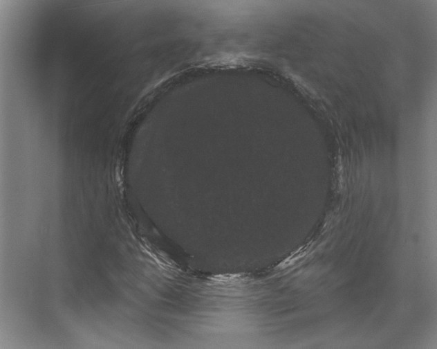 X0000072921206200608041141