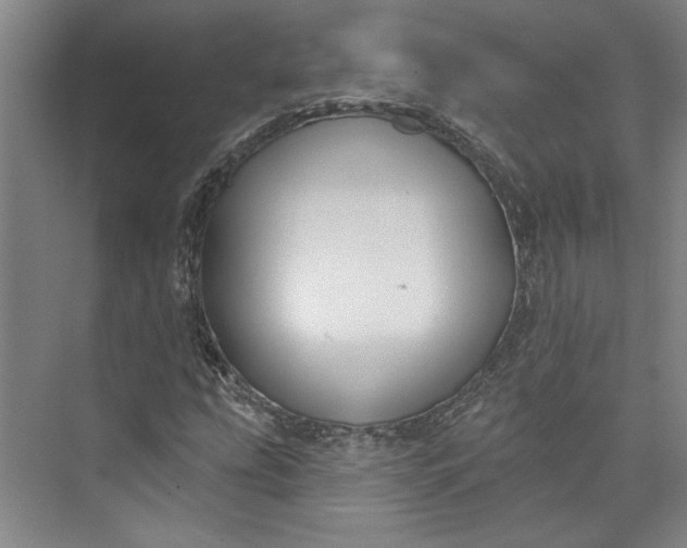 X0000072921207200608041141