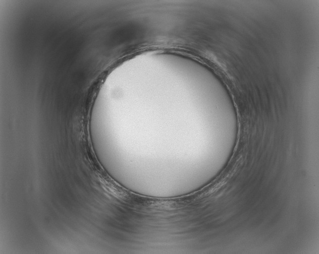 X0000072921211200608041141