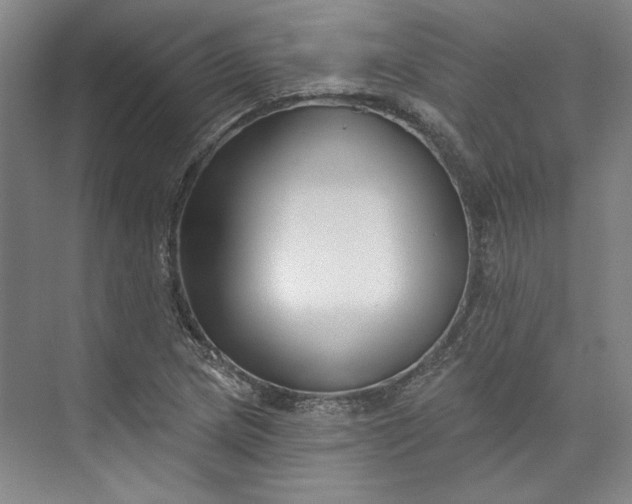 X0000072921217200608041141