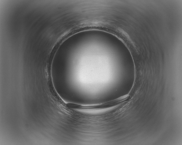X0000072921218200608041141