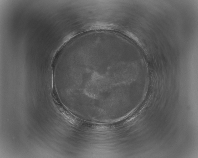 X0000072921219200608041141