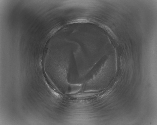 X0000072921225200608041141