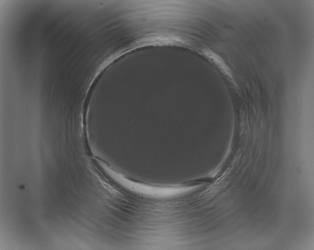 X0000072921226200608041141