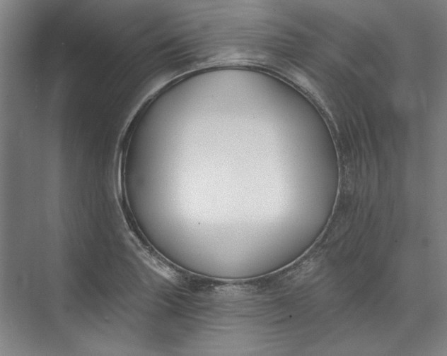 X0000072921227200608041141