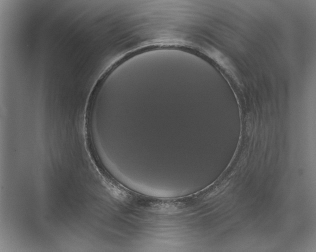X0000072921229200608041141