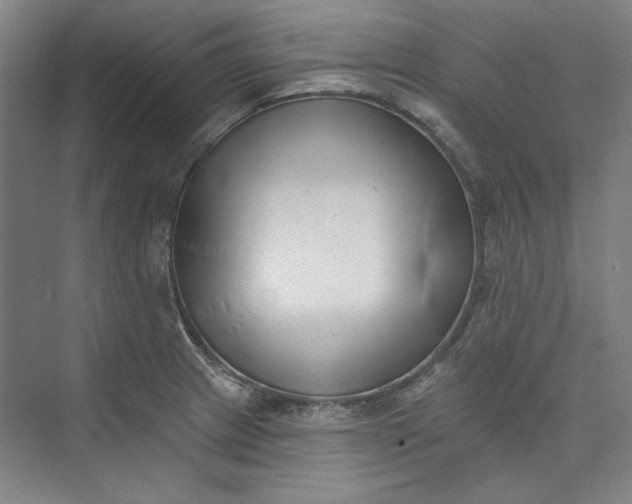 X0000072921233200608041142